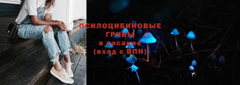 Псилоцибиновые грибы MAGIC MUSHROOMS  как найти закладки  Костерёво 